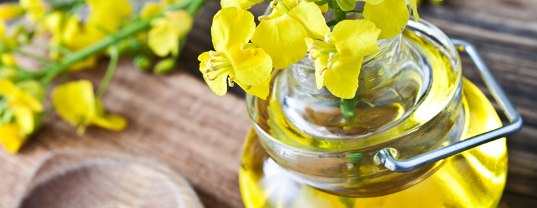 refined-canola-cooking-oil